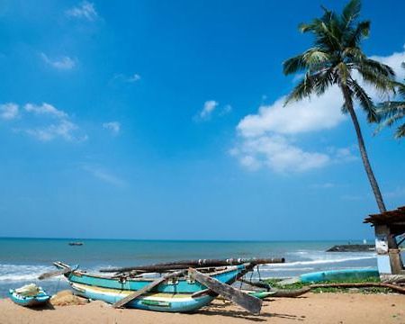 Aloe Vera Villa Negombo Exterior photo
