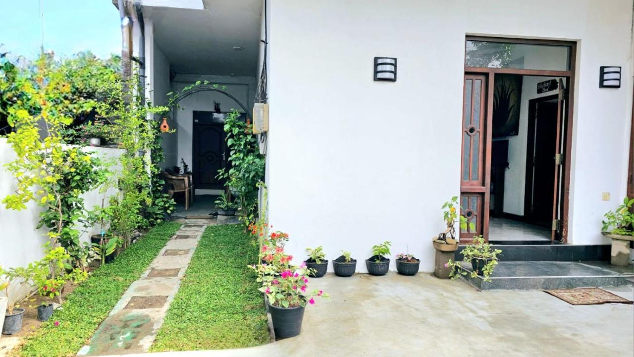 Aloe Vera Villa Negombo Exterior photo