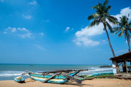 Aloe Vera Villa Negombo Exterior photo